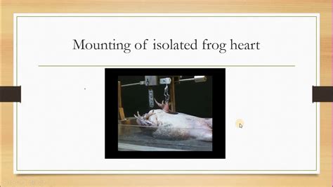 Effect Of Drugs On Isolated Frog Heart Youtube