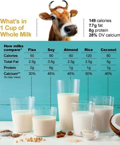 Navigating The Milk Aisle — Mollys Best