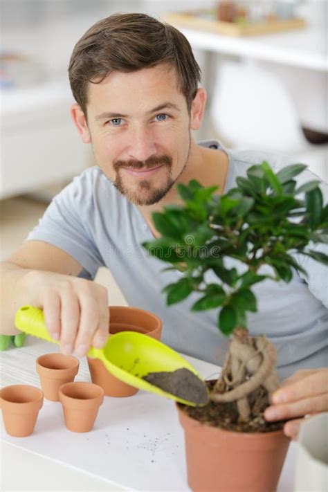 Hombres Cuidando Plantas Foto De Archivo Imagen De Lifestyle 160603046