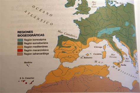 GeografÍa Ies NerviÓn Tema 7 Las Regiones BiogeogrÁficas De EspaÑa