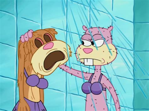 You cataracts and hurricanoes, spout till you have drench'd our steeples, drown'd the cocks! Image - Pelt.png | Encyclopedia SpongeBobia | Fandom ...
