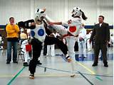 What Is The History Of Taekwondo Pictures