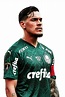 Gustavo Gómez capitão Palmeiras x Santos FINAL libertadores 2020 ...