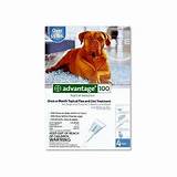 Photos of Best Flea Medication For Dogs
