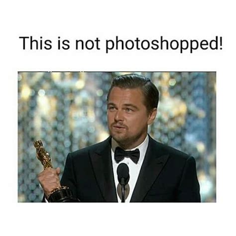 19 Best Leonardo Dicaprio Oscar Memes Sheknows