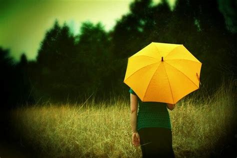 Pin By Dharma Jo Levasseur On Photography Yellow Umbrella Umbrella Photography Shades Of Yellow