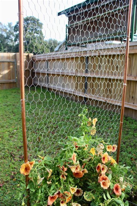 Diy How To Make A Garden Trellis Using Chicken Wire In 2021 Diy