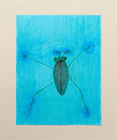 Testing Water Tension | crayola.co.uk