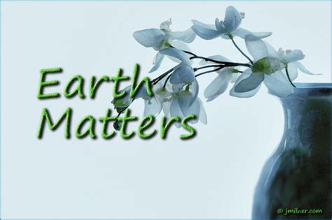 Earth Matters By Jacqueline Milner What Is Idle No More January 14