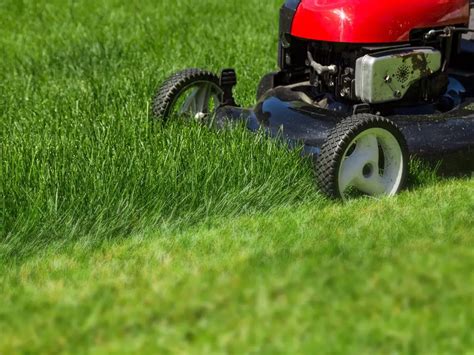 5 Best Mower For Uneven Ground Review And Buying Guide 2022 Constant
