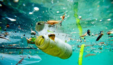 The Issue With Ocean Pollution Civic Issues Around The World
