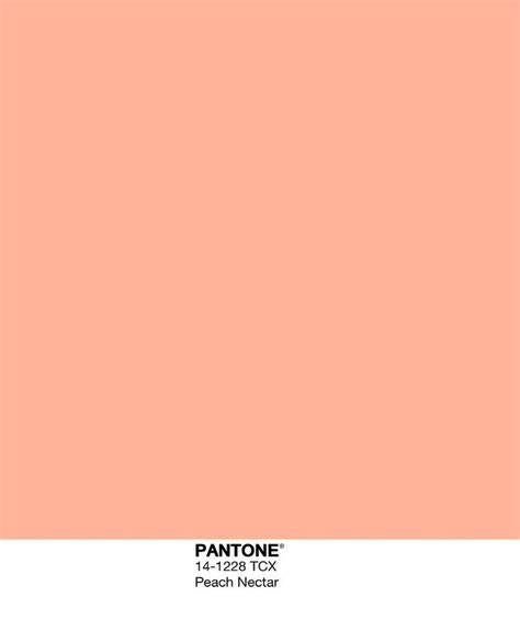 The Pantone Color Is Peach Pink