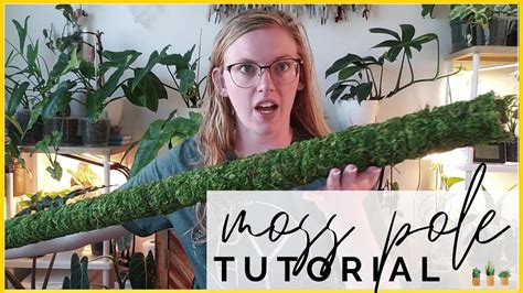 The moss pole gives them something to latch onto that mimics their natural growing environment. How To Make A Moss Pole | Large DIY Moss Pole Tutorial ...