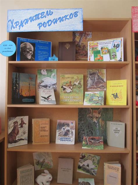 Новые книжные выставки в школьной библиотеке | МБОУ 