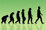 Humans Are Still Evolving—And It May Be Happening Faster Than Ever