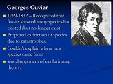 STEM Education: Georges Cuvier