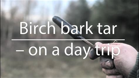 Birch Bark Tar On A Day Trip Bushcraft Youtube