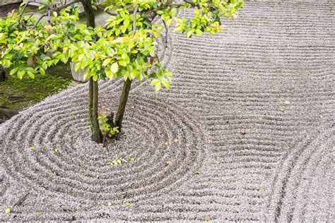 47 Backyard Zen Garden Ideas