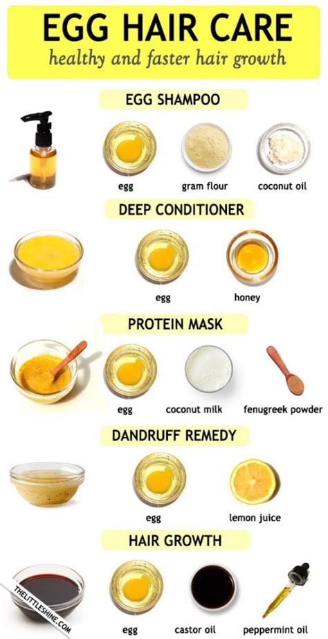 Egg Hair Treatments For Health And Faster Hair Growth The Little Shine