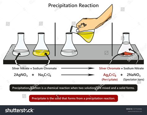Precipitation Reaction Infographic Diagram With Example Of Mixing
