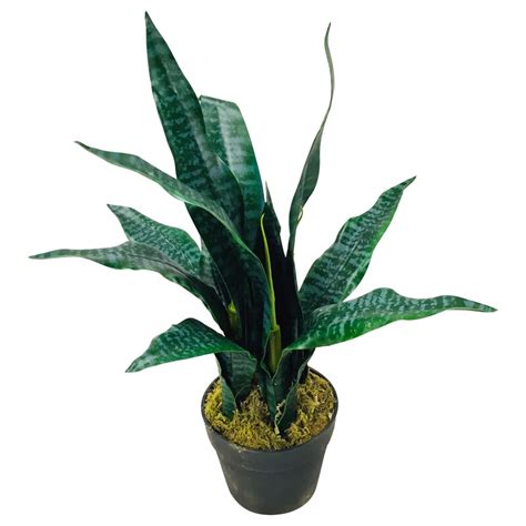 Geko Products Artificial Desktop Mother In Law Tongue Plant In Pot Uk