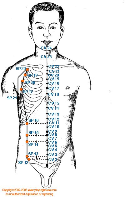 Yin Yang House Acupuncture Points On The Spleen Meridian Acupuncture