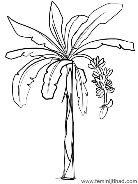 Free printable banana on the tree coloring page in vector format, easy to print from any device and automatically fit any paper size. Banana Tree Coloring Page at GetColorings.com | Free ...