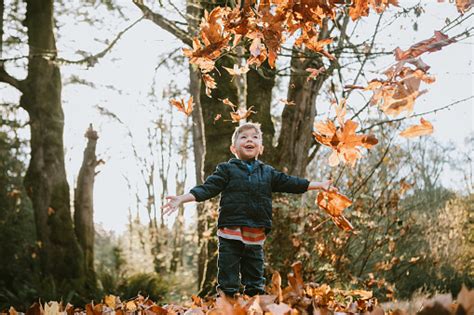 Children Playing In Autumn Leaves Stock Photo Download Image Now Istock