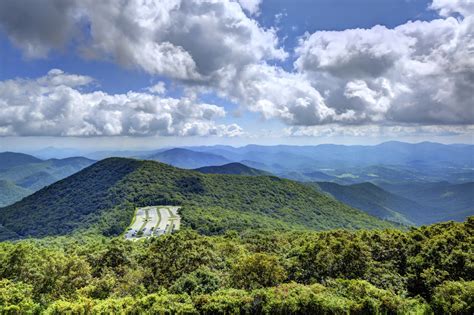 Appalachian Plateau Animals and Plants | Sciencing