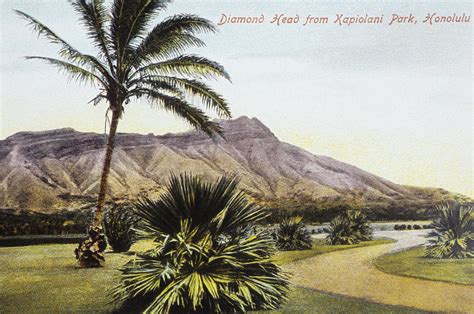 Vintage Waikiki Postcard Photograph By Hawaiian Legacy Archive