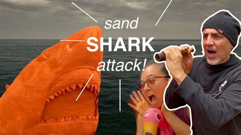 Sand Shark Attack Be Careful Where You Swim 🏊🏽‍♀️🦈 Youtube