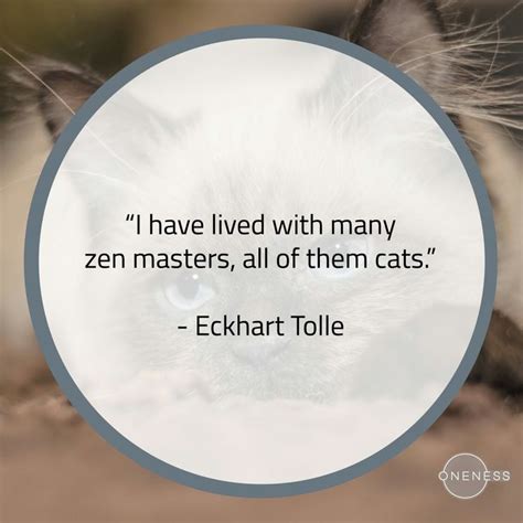 I Have Lived With Many Zen Masters All Of Them Cats Eckhart Tolle