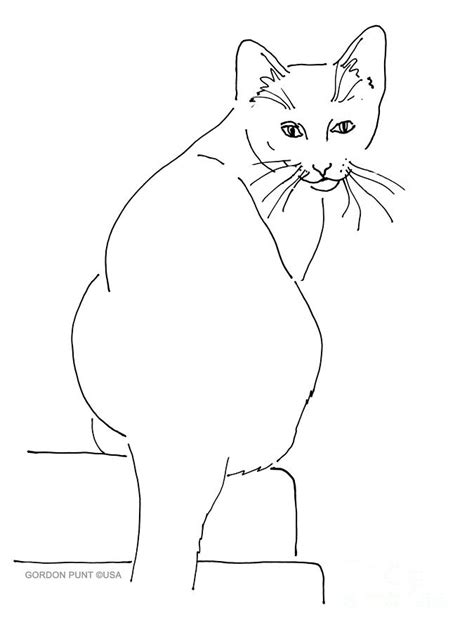 In our channel you will find a new video every day! Cat-artwork-prints Drawing by Gordon Punt