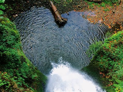 Free Images Tree Nature Forest Waterfall Pond Stream Heart Log