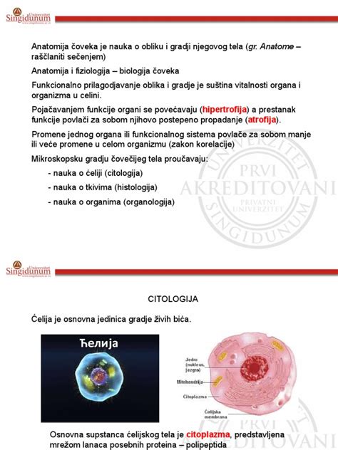 Anatomija Uvod I Osteologija Pdf