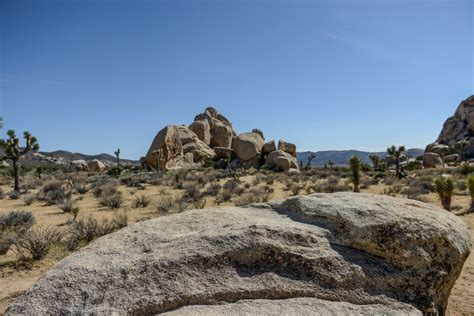 Five Dont Miss Attractions At Joshua Tree National Park