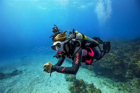 What Is The Purpose Of Scuba Diving