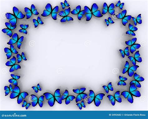 Butterfly Border Stock Photography Image 3492682