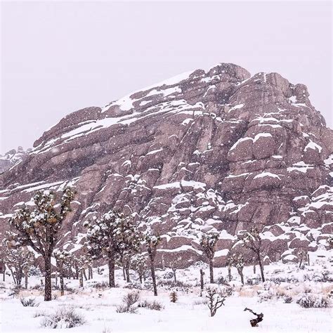 Amazing Joshua Tree Photos James Kaiser