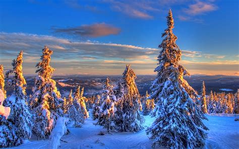 Hd Wallpaper High Resolution Pictures Of Nature 1920x1200 Snow