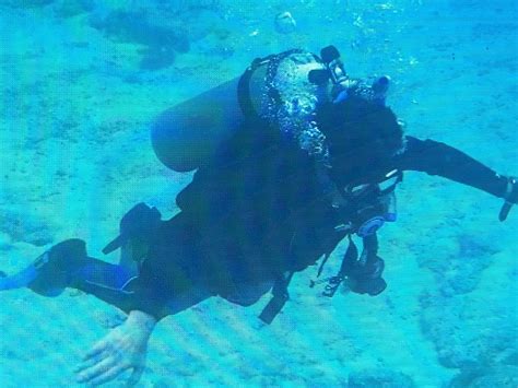 Seamonkeys Scuba Diving Islamorada All You Need To Know Before You Go