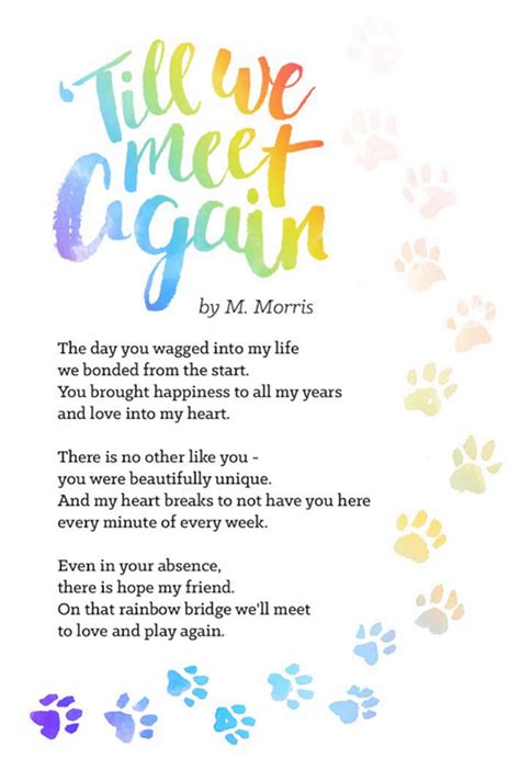 A loving poem of the journey a pet and their guradian takes to rainbow bridge after this life petloss grief support. Pin on my partner