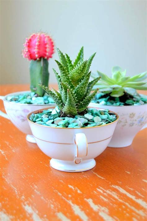 31 Best Teacup Mini Garden Ideas And Designs For 2021