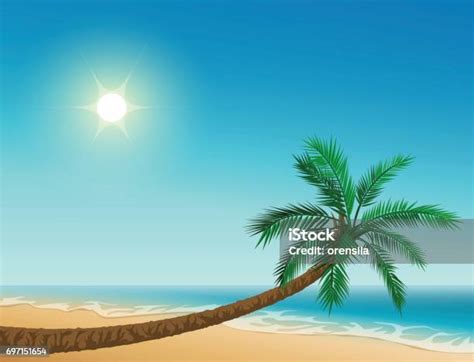 Ilustración De Playa Tropical Paraíso Palmera Inclinada Cielo Despejado