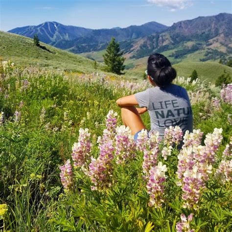 Phi kappa in sun valley is rated 0.0 of 10 at campground reviews. Hiking in Ketchum (Sun Valley), Idaho | Sun valley idaho ...