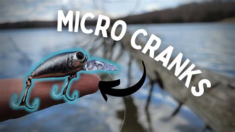Micro Crankbaits Catch Pressured Fish Ultralight Fishing And