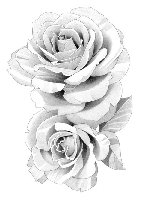 Roses Pencil Drawing By Matthewhackart On Deviantart