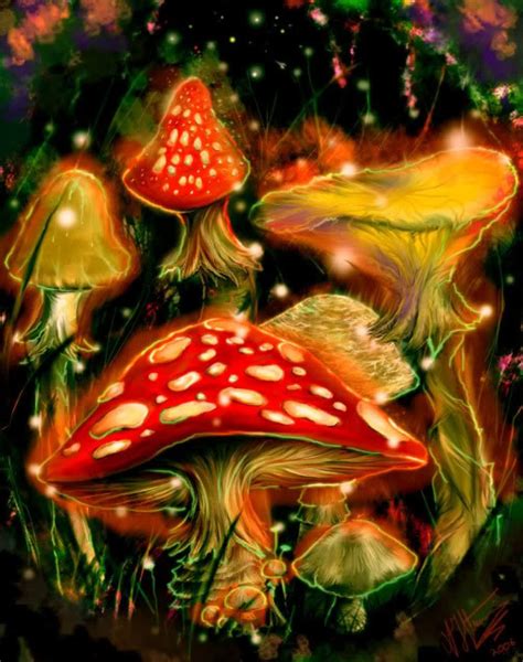 Magic Mushrooms Could Have Medical Benefits Researchers Say Impact Lab
