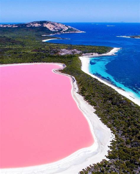 Pink Lake Western Australia Awesome Lake Hillier Australia