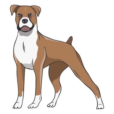 Standing Boxer Dog Illustration Transparent Png And Svg Vector File